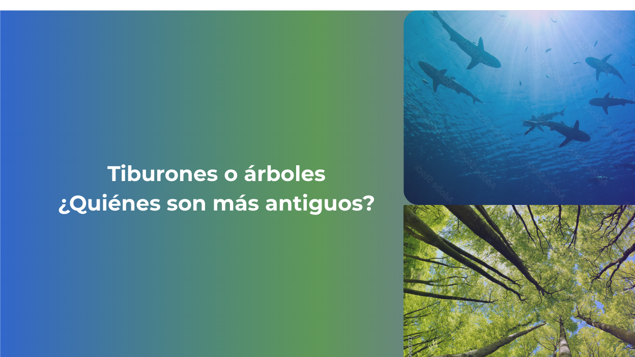 🌍 Naturaleza: ¿Quienes son más antiguos los tiburones o los árboles? copy of relaja el orto (1)